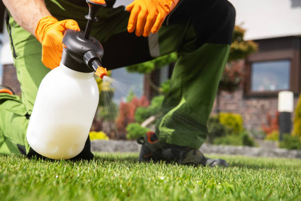 Best Ant Control Services  in Albemarle, NC